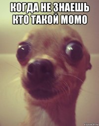 когда не знаешь кто такой момо 