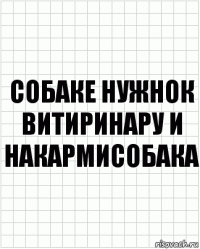 собаке нужнок витиринару и накармисобака