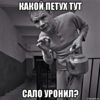 какой петух тут сало уронил?