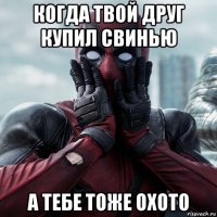 когда твой друг купил свинью а тебе тоже охото