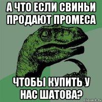 а что если свиньи продают промеса чтобы купить у нас шатова?