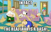 in fact the real java is a bash!