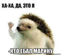  -кто ебал марину