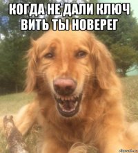 когда не дали ключ вить ты новерег 