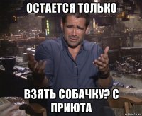 остается только взять собачку? с приюта