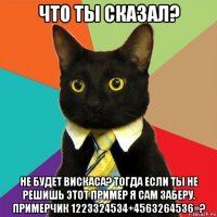 что ты сказал? не будет вискаса? тогда если ты не решишь этот пример я сам заберу. примерчик 1223324534+4563264536=?