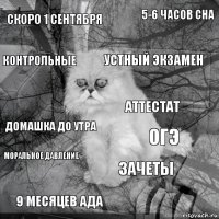 скоро 1 сентября огэ устный экзамен 9 месяцев ада домашка до утра 5-6 часов сна зачеты контрольные МОРАЛЬНОЕ ДАВЛЕНИЕ аттестат