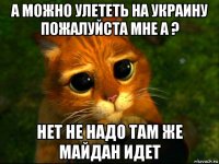 а можно улететь на украину пожалуйста мне а ? нет не надо там же майдан идет