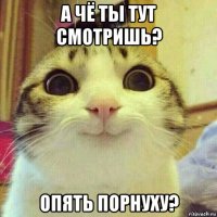 а чё ты тут смотришь? опять порнуху?