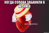 когда сопова забанили в wormix 