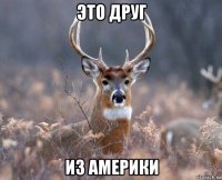 это друг из америки