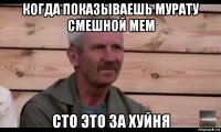 когда показываешь мурату смешной мем сто это за хуйня