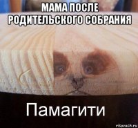 мама после родительского собрания 