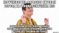 коричневое ухо фараонов китовых борозд на грифах оснащения нло с подопрёкой зрелости вправленного закатившегося ирокеза аккомпанементов метеоритов с призмой хип-хооопа