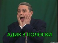 Адик 3 полоски