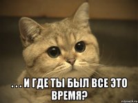  . . . и где ты был все это время?