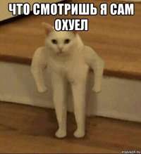 что смотришь я сам охуел 