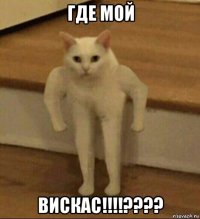 где мой вискас!!!!????