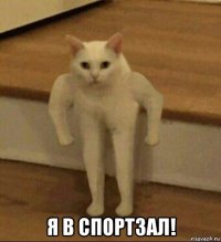  я в спортзал!