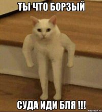 ты что борзый суда иди бля !!!