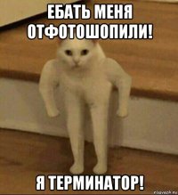 ебать меня отфотошопили! я терминатор!