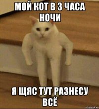 мой кот в 3 часа ночи я щяс тут разнесу всё