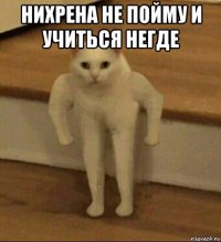 нихрена не пойму и учиться негде 