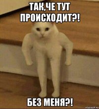 так,че тут происходит?! без меня?!