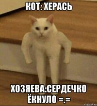 кот: херась хозяева:сердечко ёкнуло =.=