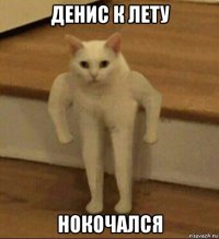 денис к лету нокочался