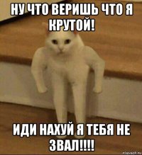 ну что веришь что я крутой! иди нахуй я тебя не звал!!!!