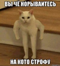 вы чё норываитесь на кото строфу