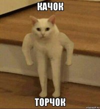 качок торчок