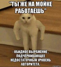 "ты же на мойке работаешь" - обидное выражение , подчёркивающее недостаточный уровень авторитета.