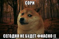 сори сегодня не будет фиаско ((