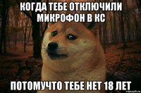 когда тебе отключили микрофон в кс потомучто тебе нет 18 лет