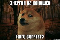 энергия из кокашек кого согреет?