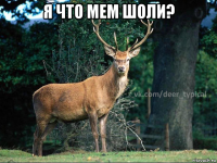 я что мем шоли? 