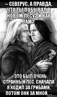 – северус, а правда, что ты побывал в новом лесу? и как там? – это был очень странный лес. сначала я ходил за грибами, потом они за мной. . .