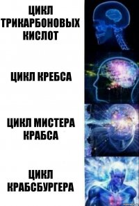 Цикл Трикарбоновых кислот Цикл Кребса Цикл мистера Крабса Цикл Крабсбургера