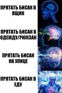 прятать бисак в ящик прятать бисак в одежду/рюкзак прятать бисак на улице прятать бисак в еду