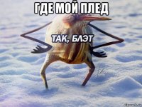 где мой плед 