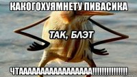 какогохуямнету пивасика чтааааааааааааааааа!!!!!!!!!!!!!!!