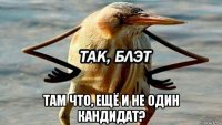  там что, ещё и не один кандидат?