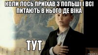 коли лось приїхав з польші і всі питають в нього де віка 