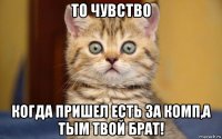 то чувство когда пришел есть за комп,а тым твой брат!