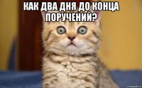 как два дня до конца поручений? 