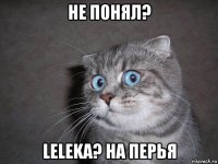 не понял? leleka? на перья