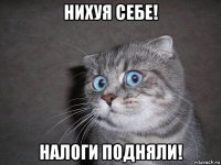 нихуя себе! налоги подняли!