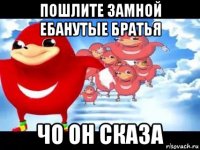 пошлите замной ебанутые братья чо он сказа